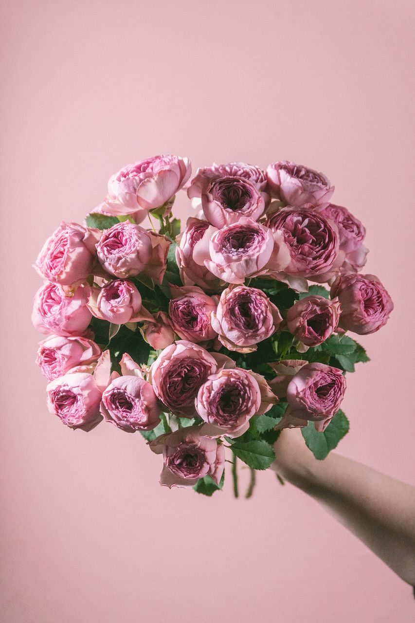 1.国産モミブーケスワッグ 1.国産モミブーケスワッグ 1.国産モミブーケスワッグ