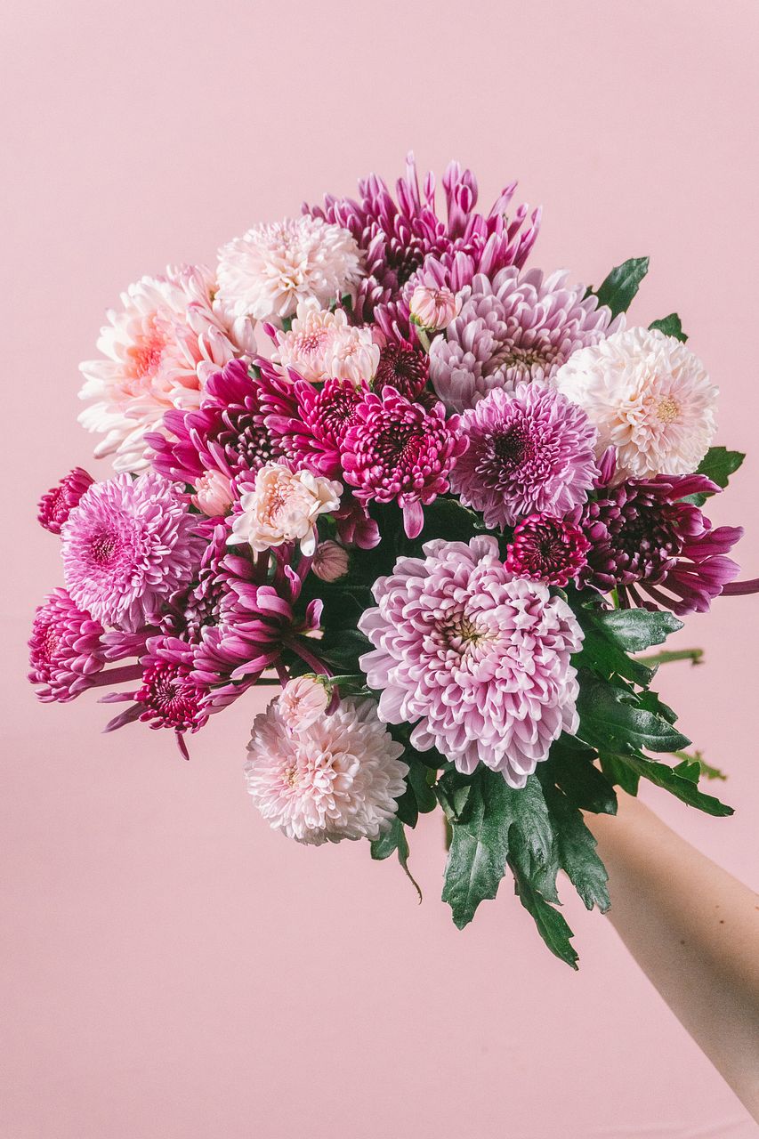 バンクシア「フーケリアーナ」