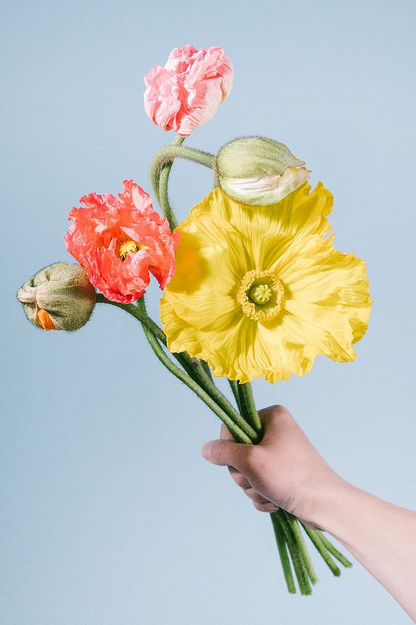 ユーカリ「テトラゴナナッツ」