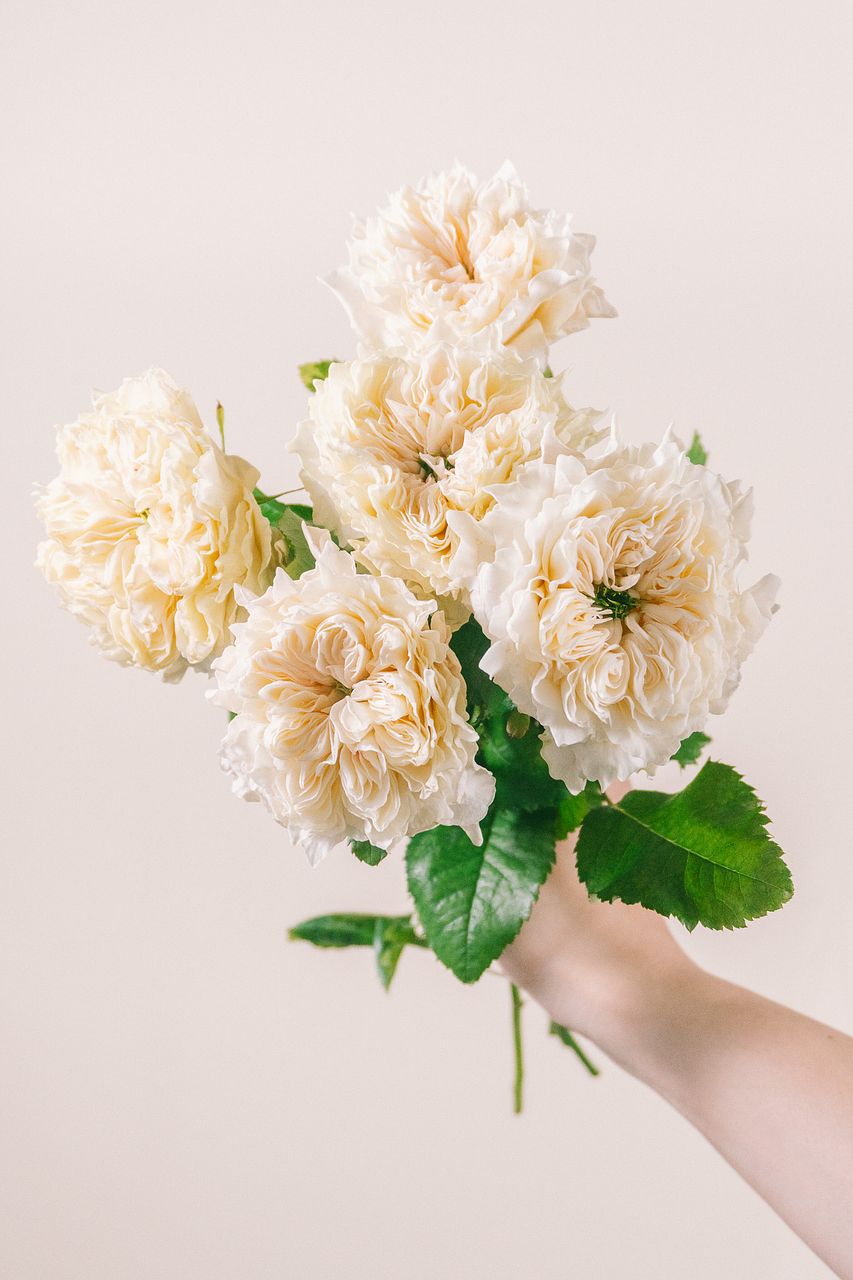 FLOWER｜かわいい花束を【送料無料】でお届け！毎日お得なオンラインの