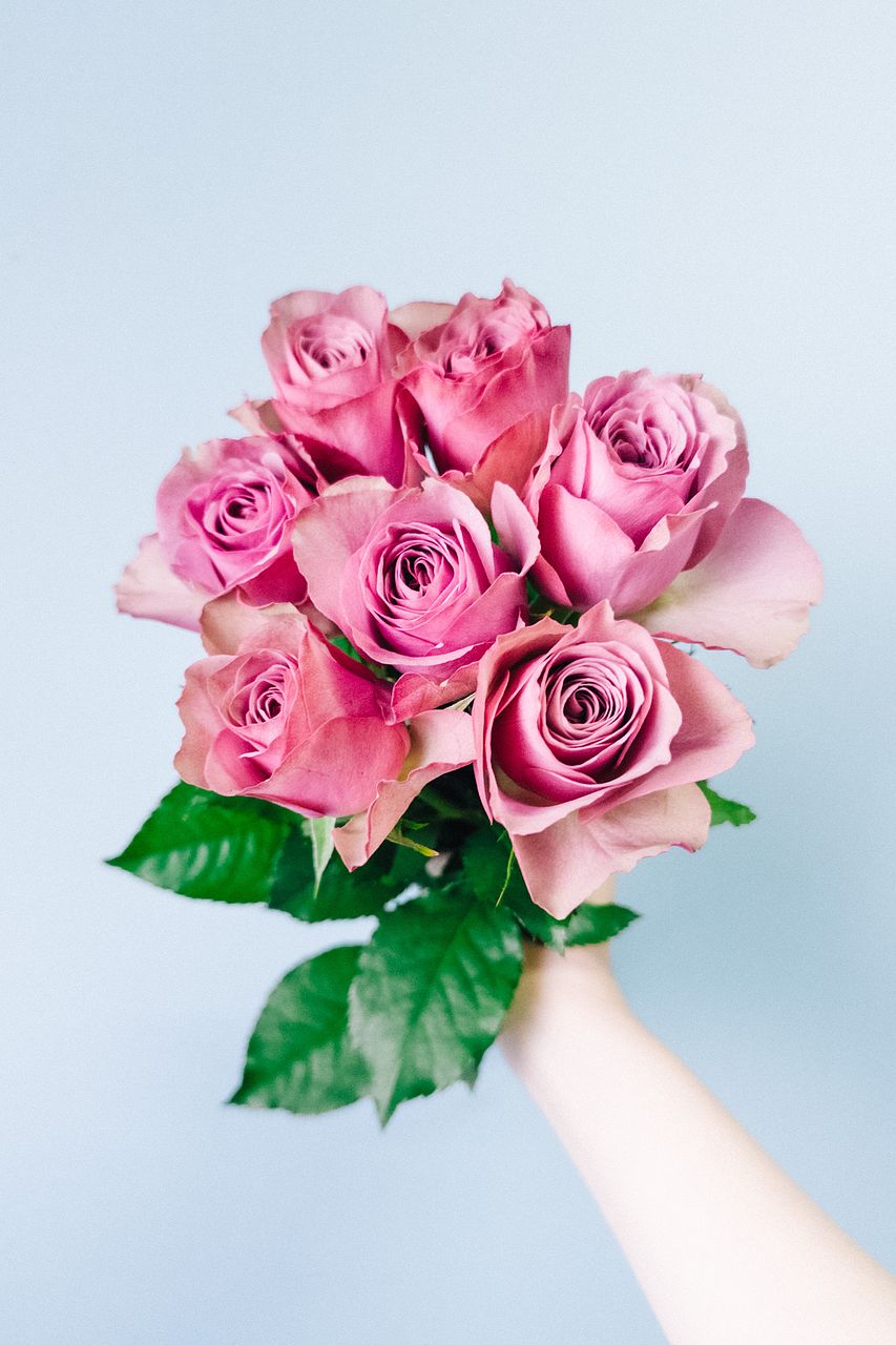 FLOWER｜かわいい花束を【送料無料】でお届け！毎日お得なオンラインの