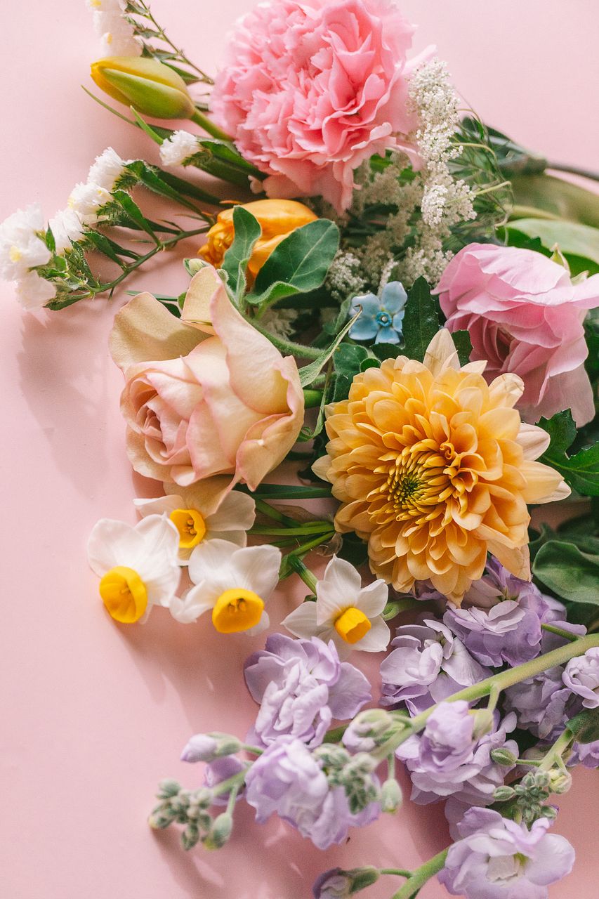 イタリア産のミモザ