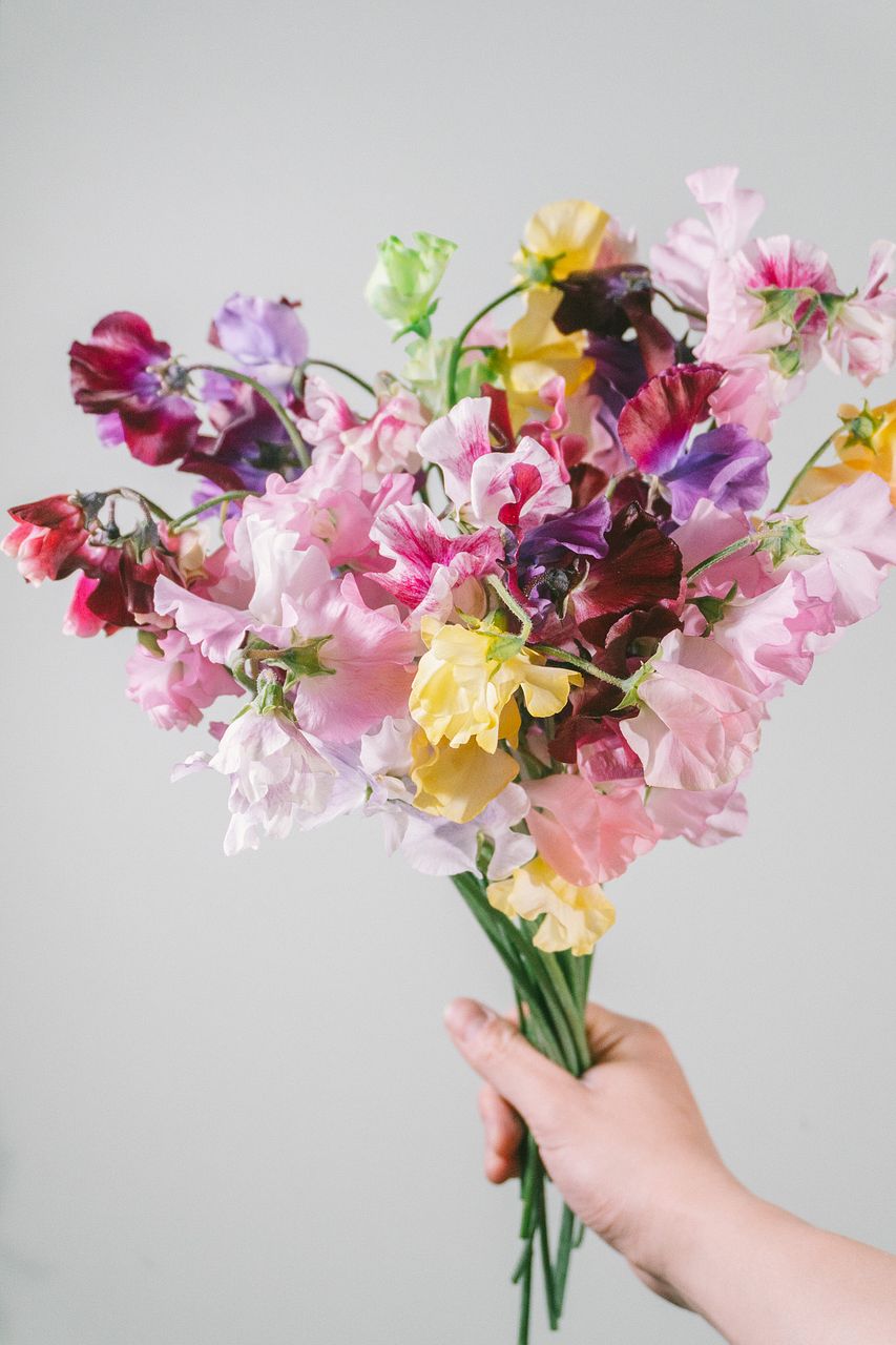 FLOWER｜かわいい花束を【送料無料】でお届け！毎日お得なオンラインの