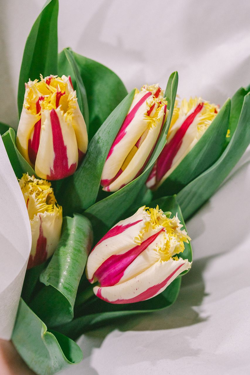 FLOWER｜かわいい花束を【送料無料】でお届け！毎日お得なオンラインの