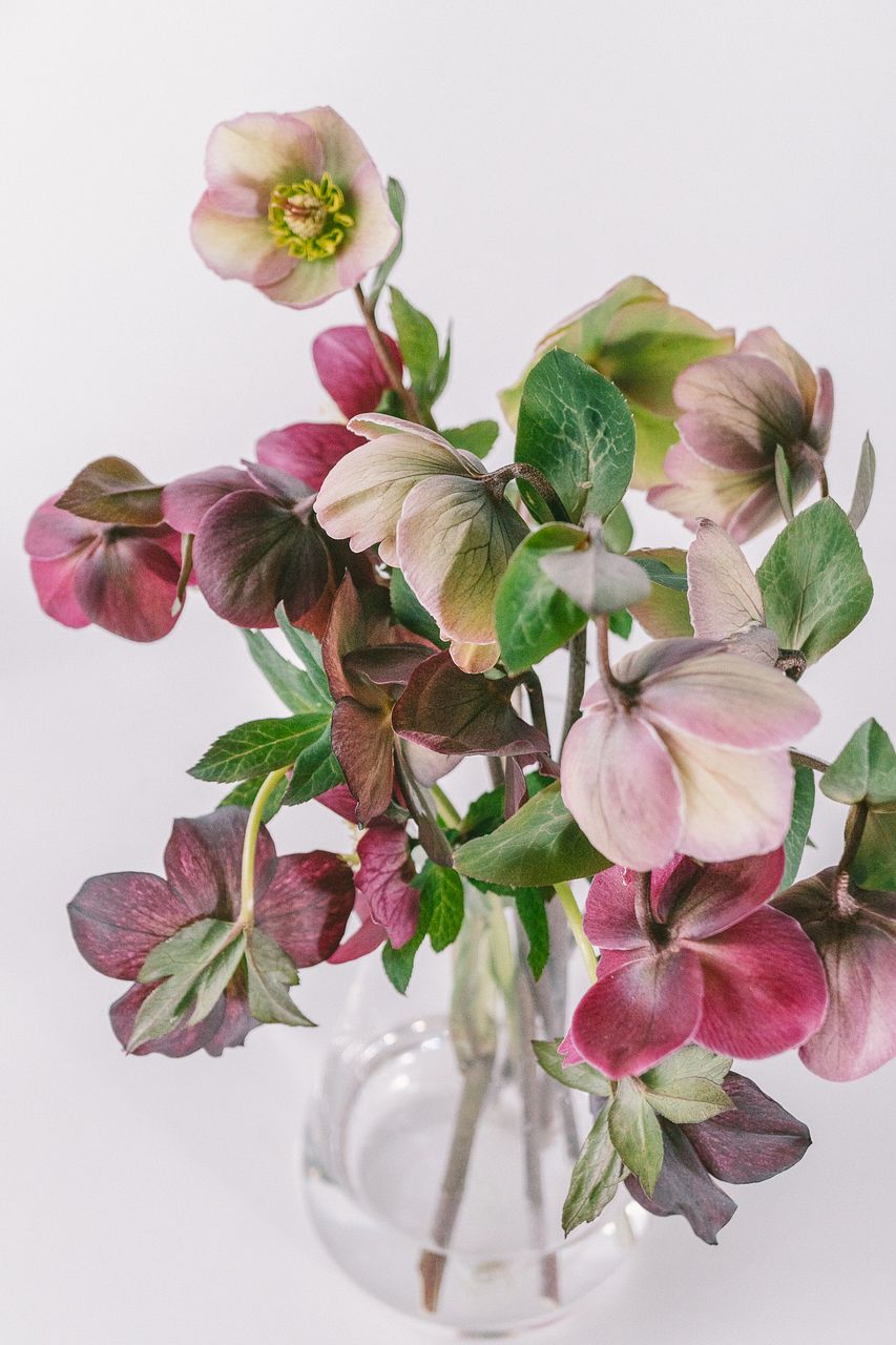 アメジストセージ】人気の花束・ブーケ特集 | FLOWER｜かわいい花束を