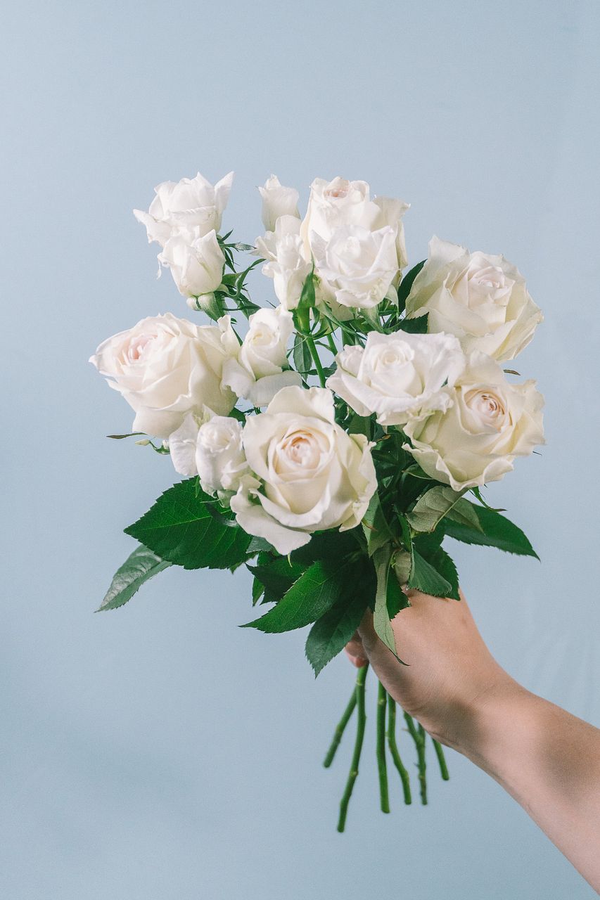 ユリ】人気の花束・ブーケ特集 | FLOWER｜かわいい花束を【送料無料