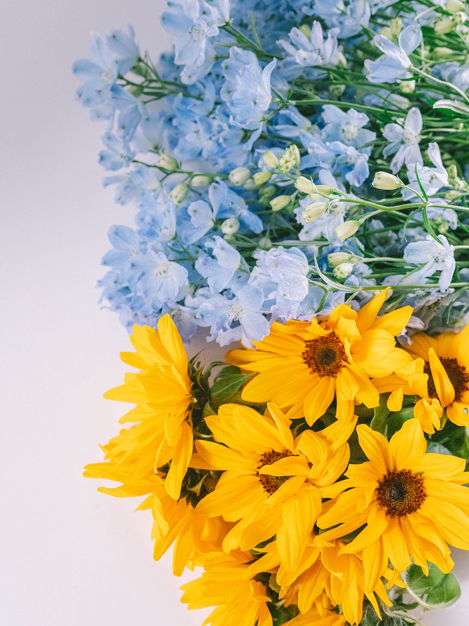 スワッグ】人気の花束・ブーケ特集 | FLOWER｜かわいい花束を【送料