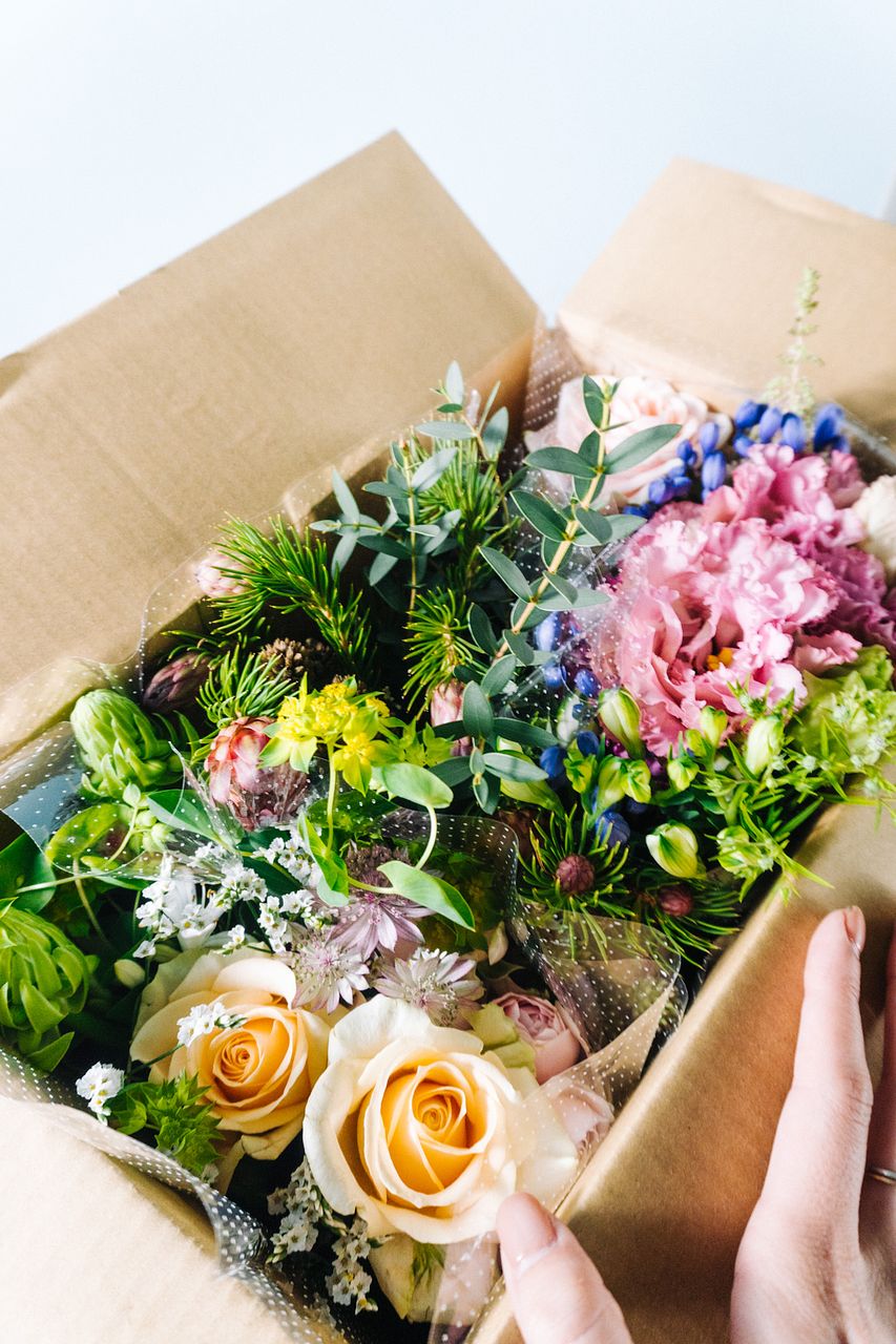 プロテア】人気の花束・ブーケ特集 | FLOWER｜かわいい花束を【送料