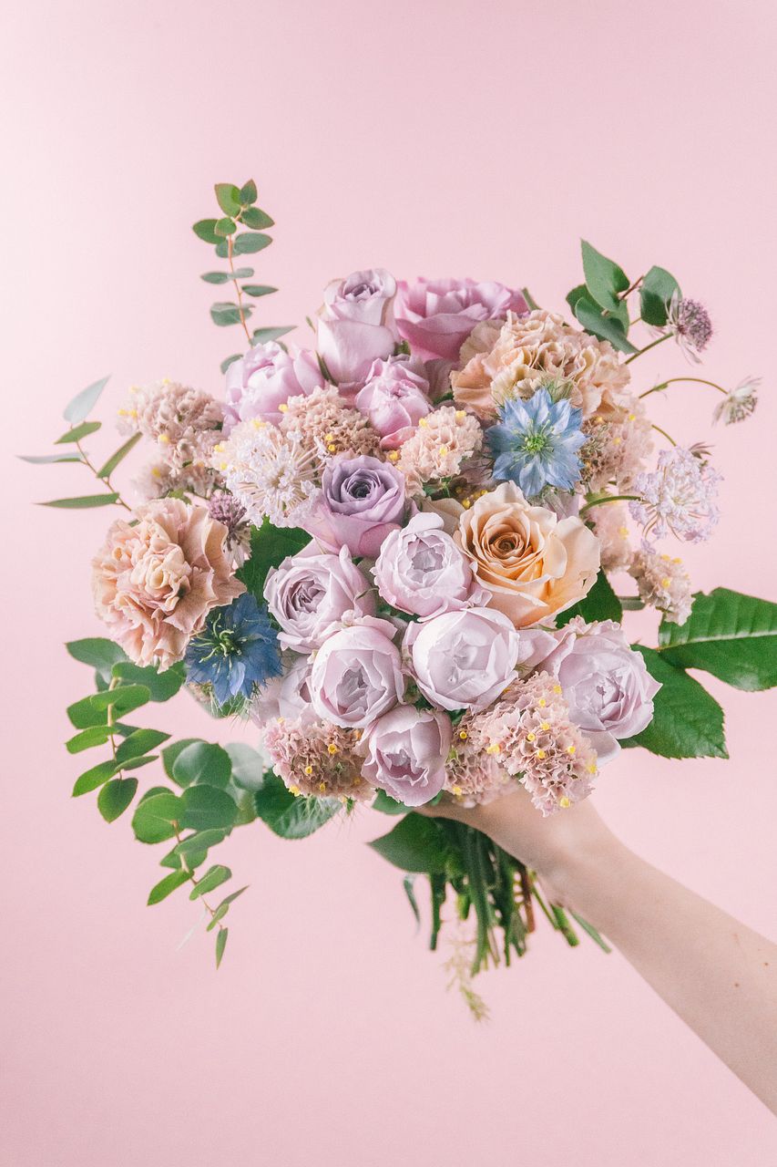 プロテア】人気の花束・ブーケ特集 | FLOWER｜かわいい花束を【送料