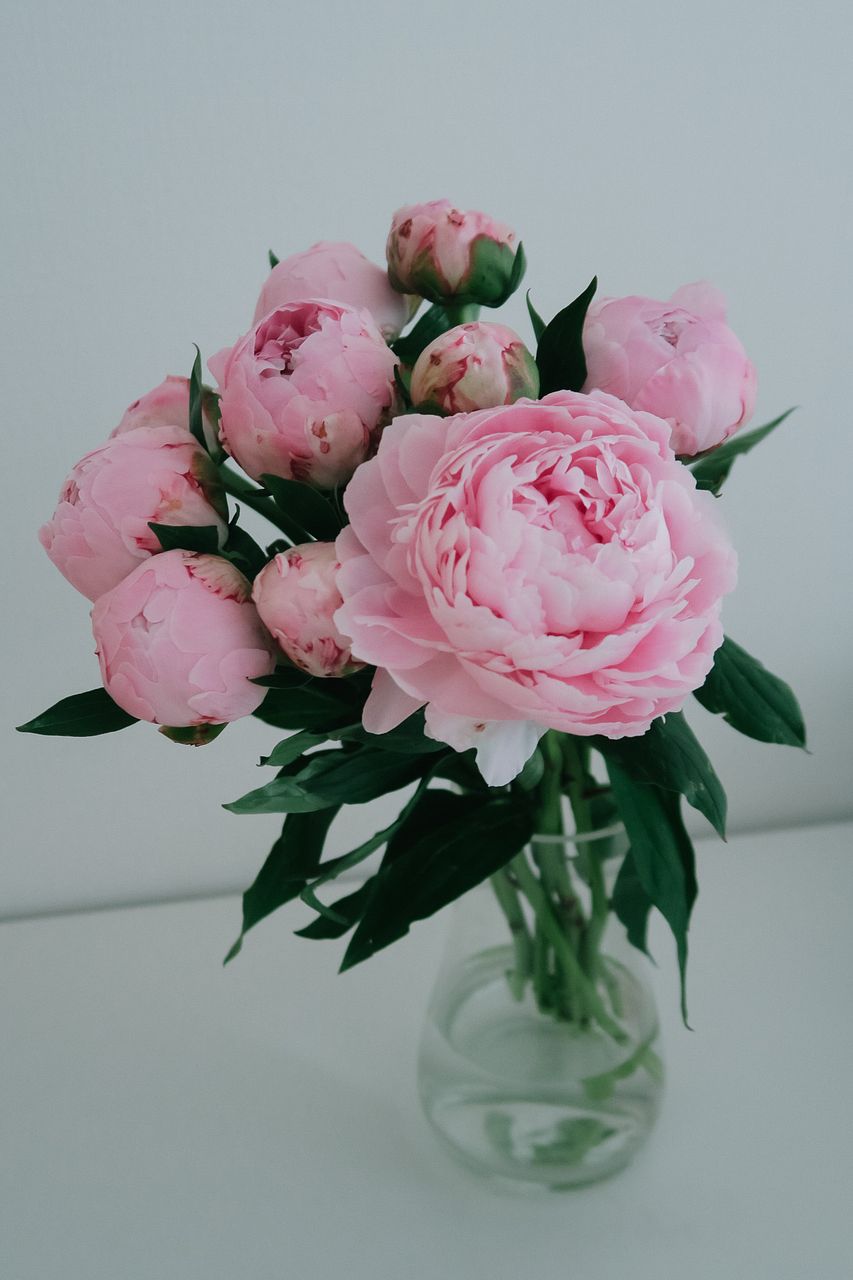 きらり☆薔薇とユリのブーケ·パステルカラーのブーケ·ミニドイリー計3点 DSC_7117c.jpg?v=1751558873&