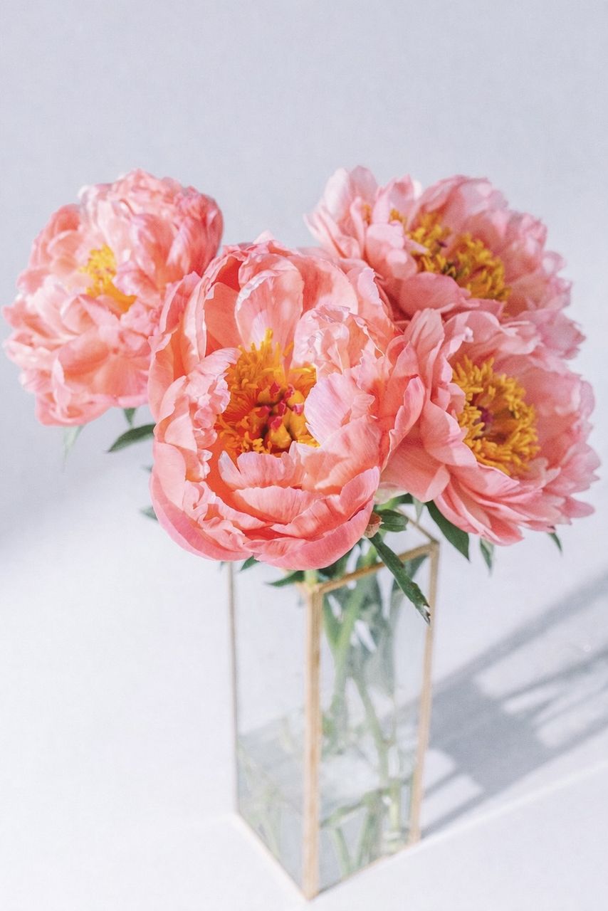 ヒムロスギ】人気の花束・ブーケ特集 | FLOWER｜かわいい花束を【送料