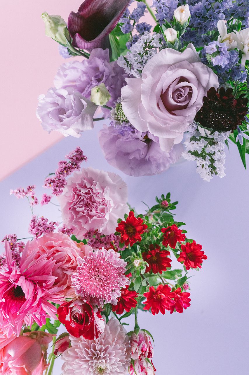 FLOWER｜かわいい花束を【送料無料】でお届け！毎日お得なオンラインの