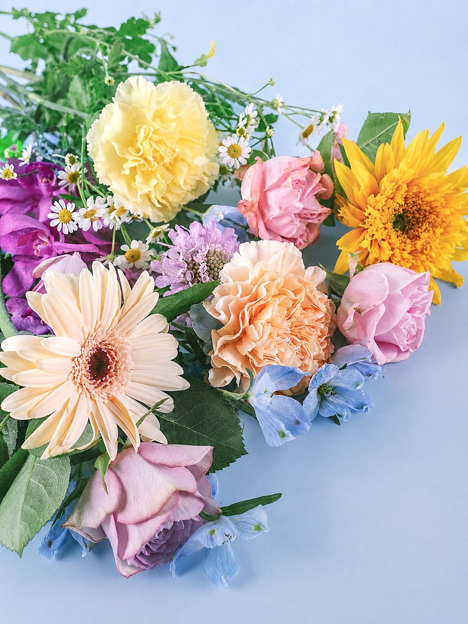 FLOWER｜かわいい花束を【送料無料】でお届け！毎日お得なオンラインの