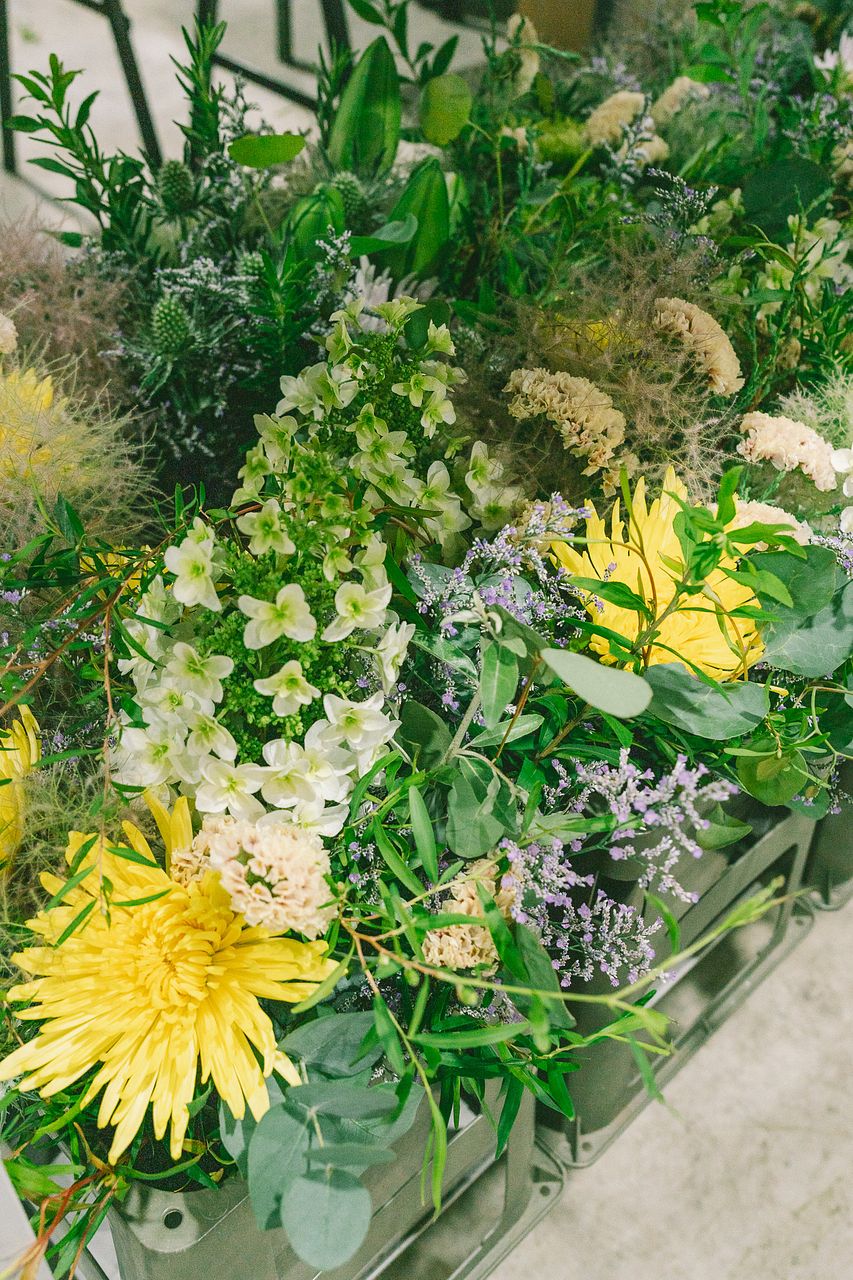 白紫陽花とスモークツリー　カンガルーポーの花束　切花 カンガルーポー】人気の花束・ブーケ特集 | FLOWER｜かわいい花束を