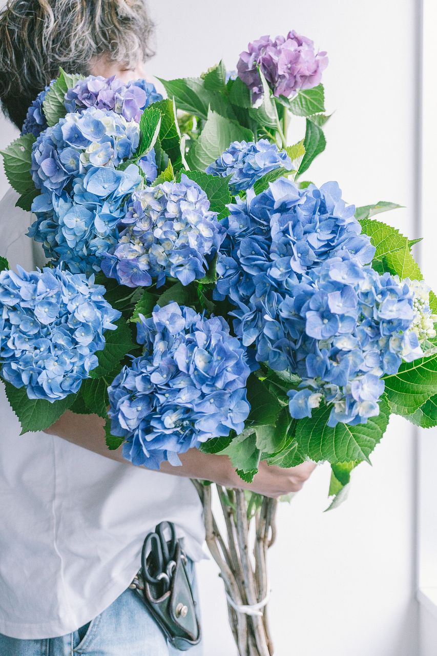 ヒムロスギ】人気の花束・ブーケ特集 | FLOWER｜かわいい花束を【送料