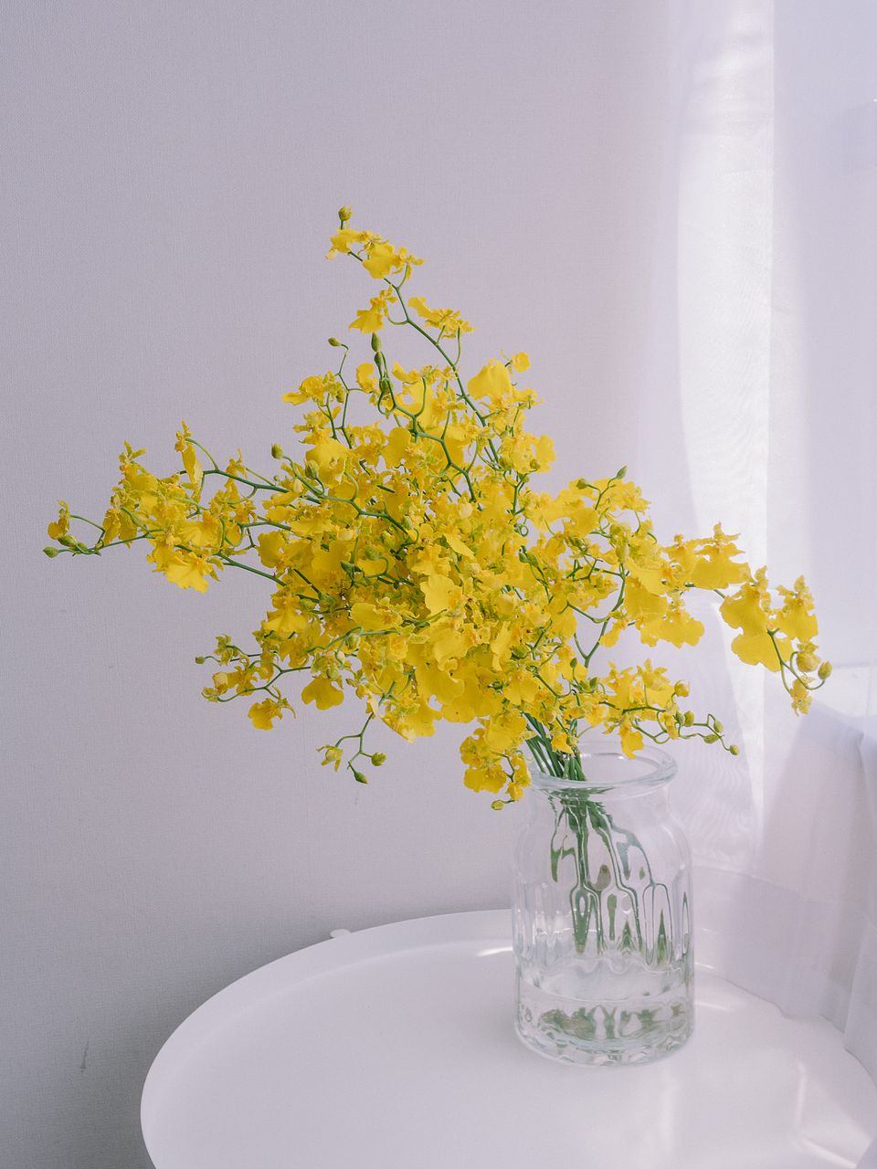 ソリダスター】人気の花束・ブーケ特集 | FLOWER｜かわいい花束を