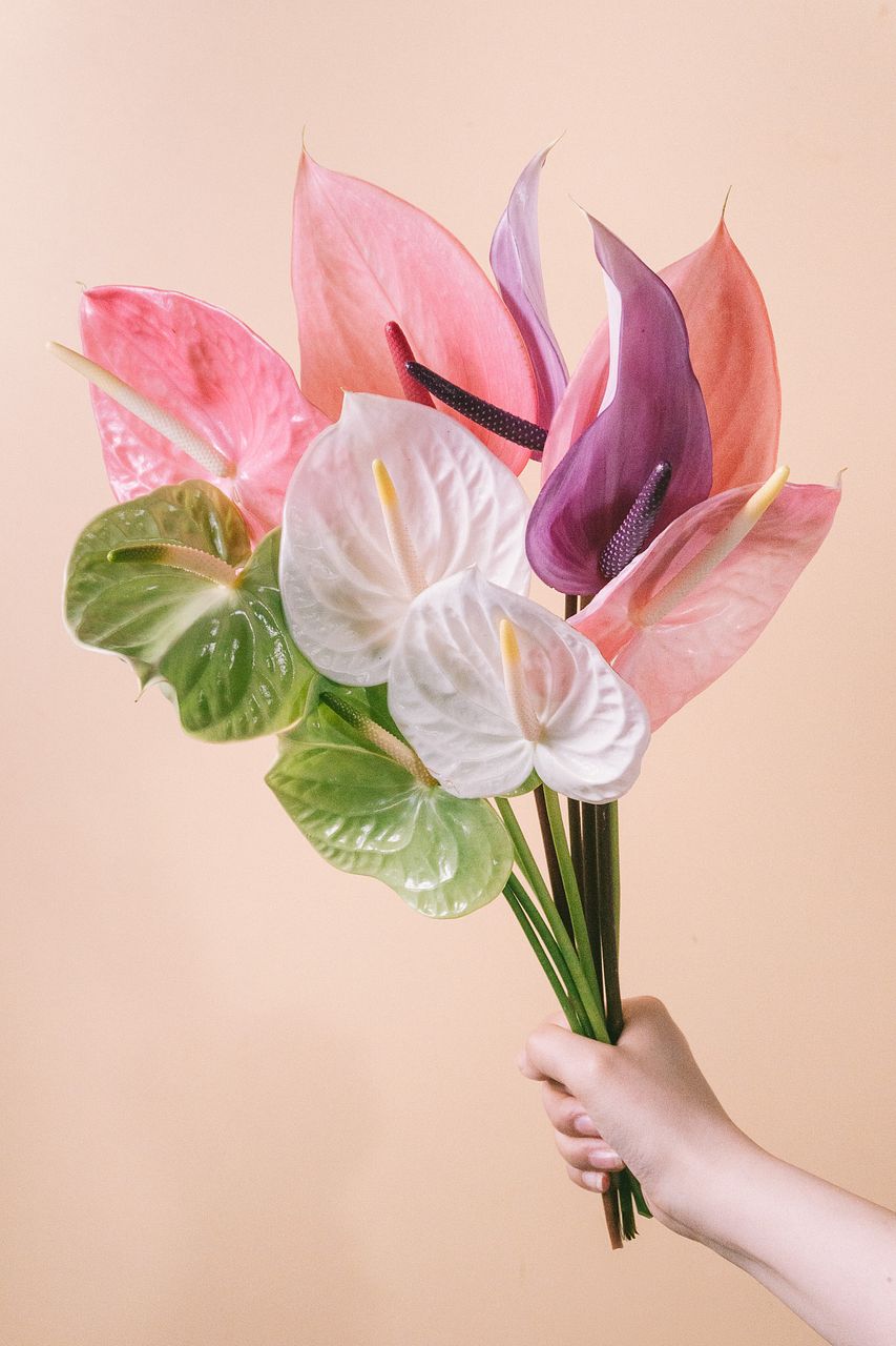 カラーレンギョウ・カラーユリのフラワーブーケ レンギョウ】人気の花束・ブーケ特集 | FLOWER｜かわいい花束を【送料
