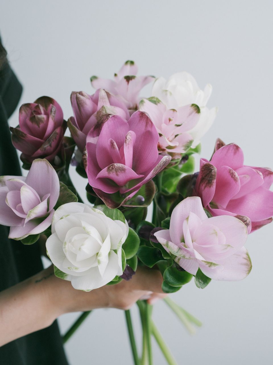 レンギョウ】人気の花束・ブーケ特集 | FLOWER｜かわいい花束を【送料