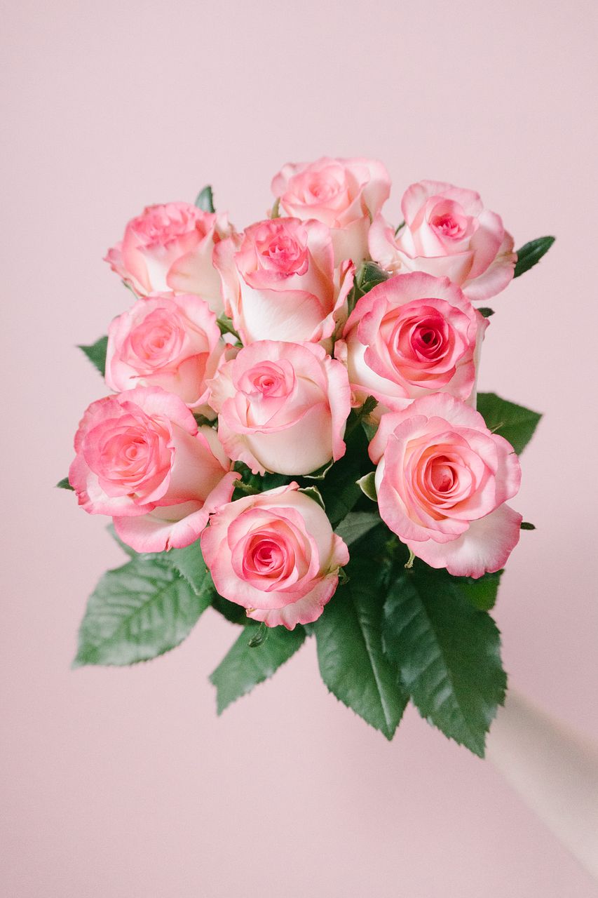 FLOWER｜かわいい花束を【送料無料】でお届け！毎日お得なオンラインの