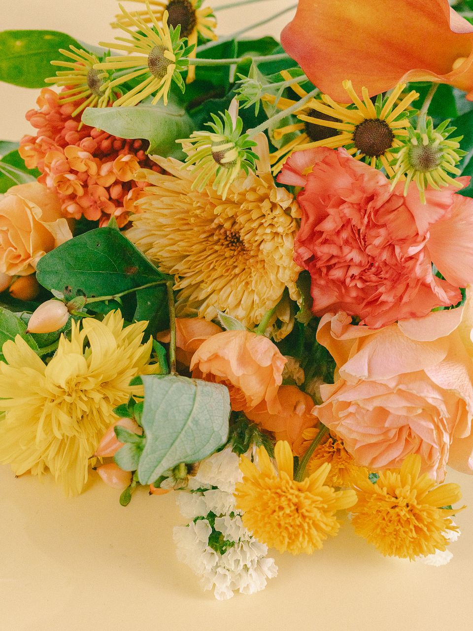 リューカデンドロン】人気の花束・ブーケ特集 | FLOWER｜かわいい花束