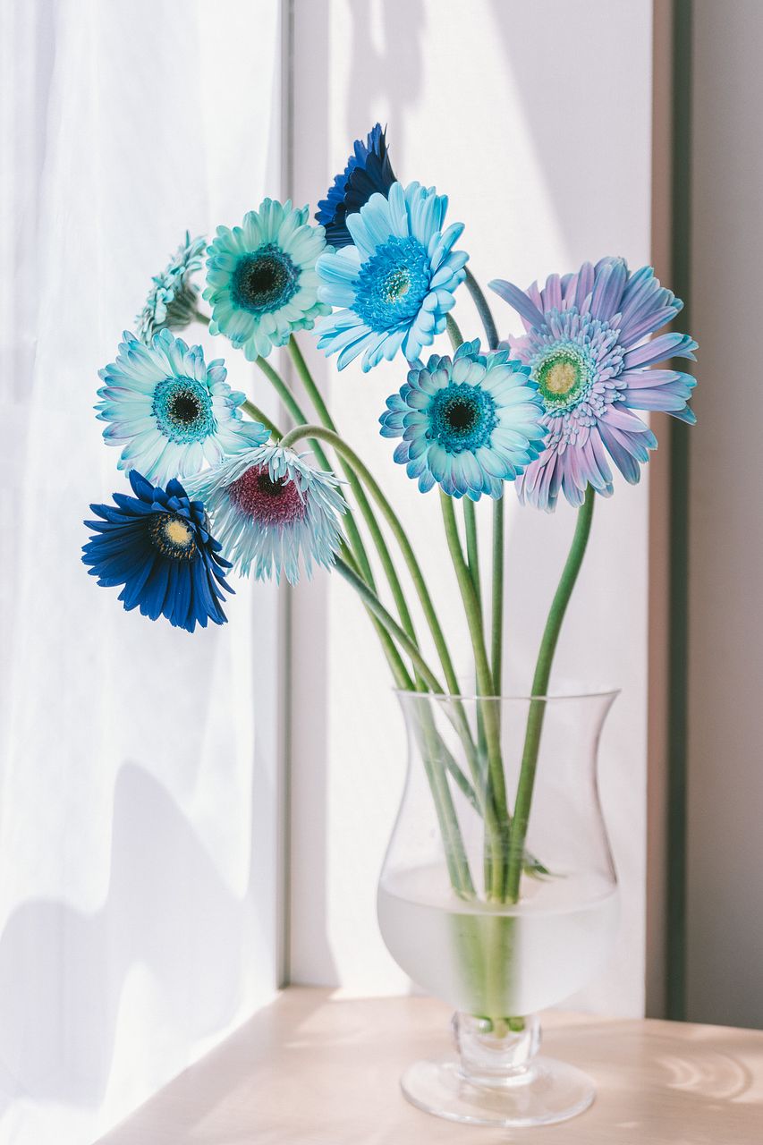 セルリア】人気の花束・ブーケ特集 | FLOWER｜かわいい花束を【送料