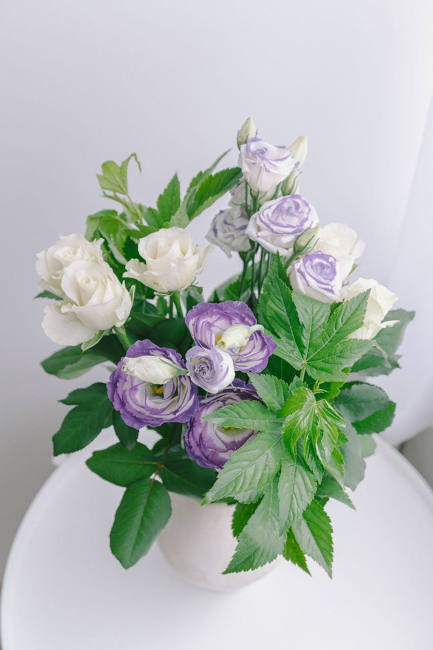 バンクシア】人気の花束・ブーケ特集 | FLOWER｜かわいい花束を【送料