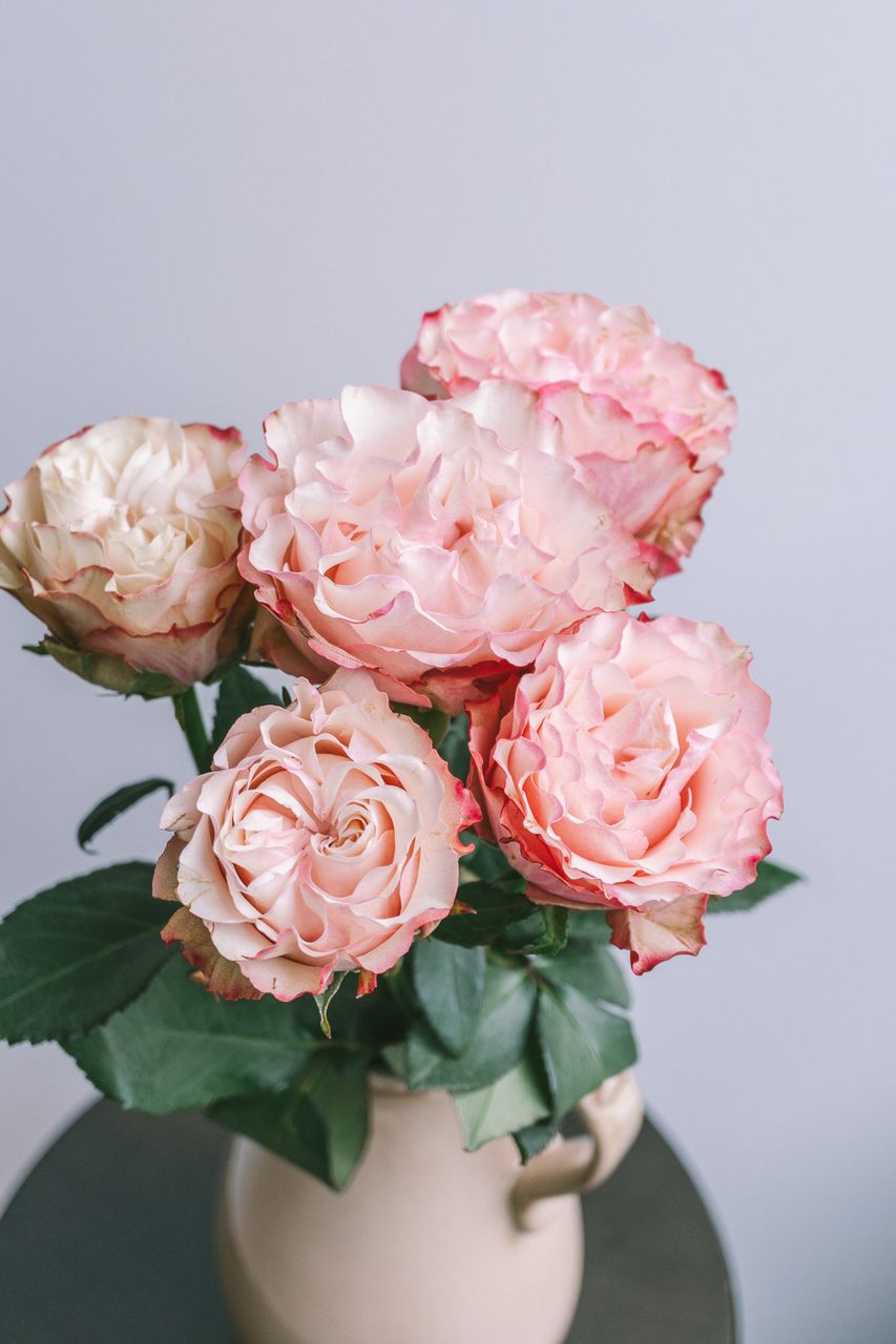 ナルコラン】人気の花束・ブーケ特集 | FLOWER｜かわいい花束を【送料