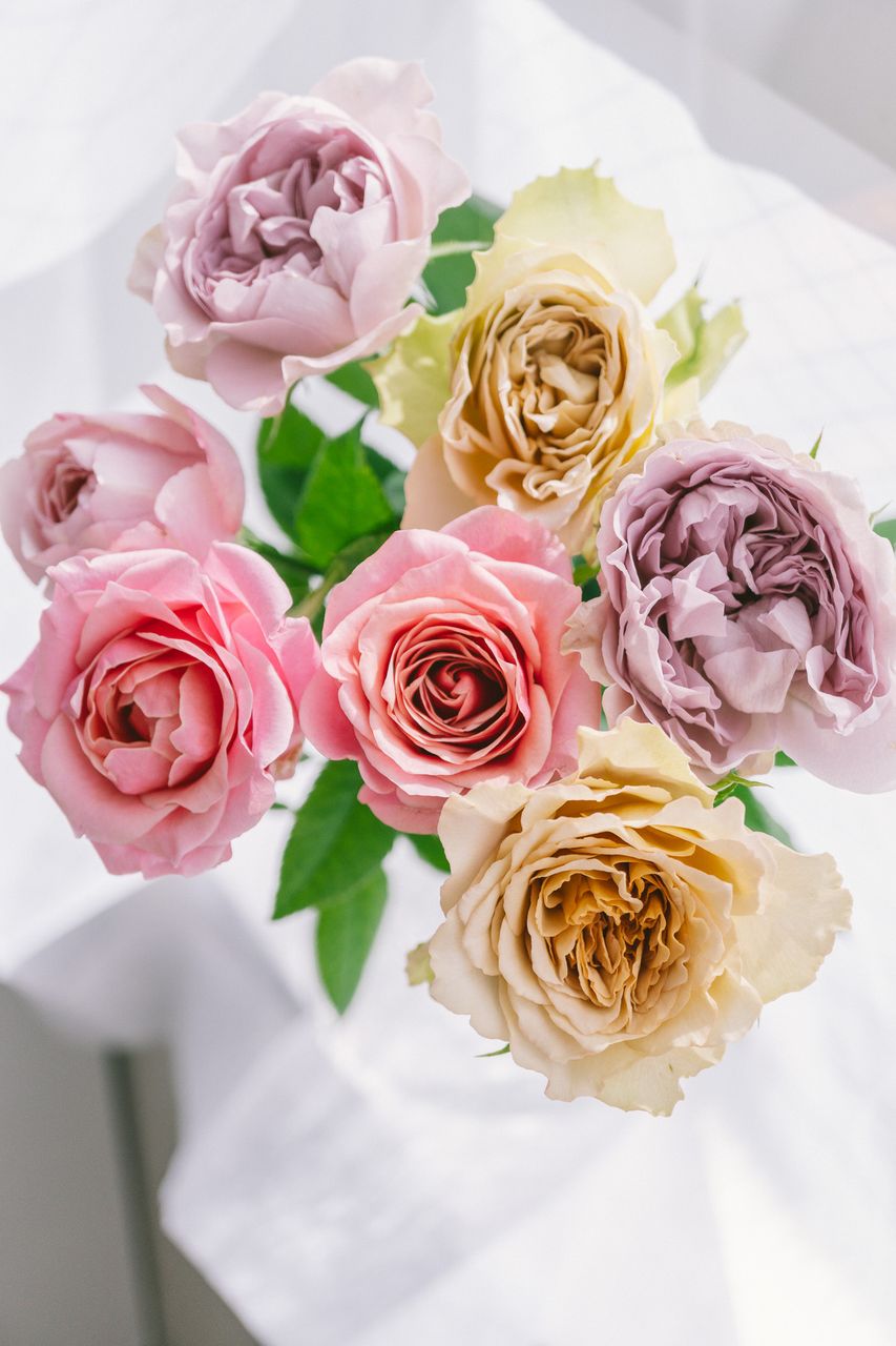メラレウカ】人気の花束・ブーケ特集 | FLOWER｜かわいい花束を【送料