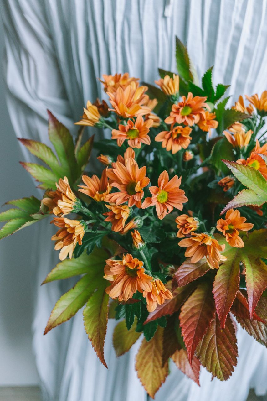 メラレウカ】人気の花束・ブーケ特集 | FLOWER｜かわいい花束を【送料