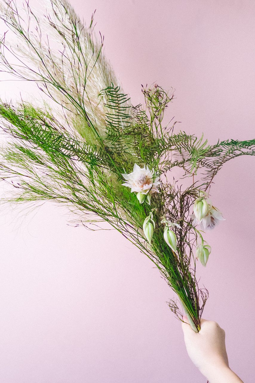パンパスグラス】人気の花束・ブーケ特集 | FLOWER｜かわいい花束を
