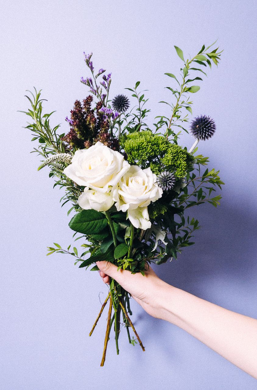 ホワイトガーデン