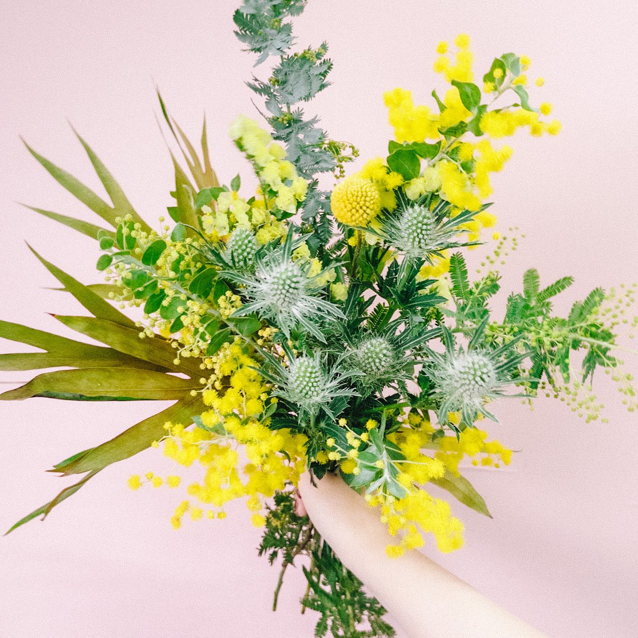 large_3513c9a1-5a4b-4934-8b25-