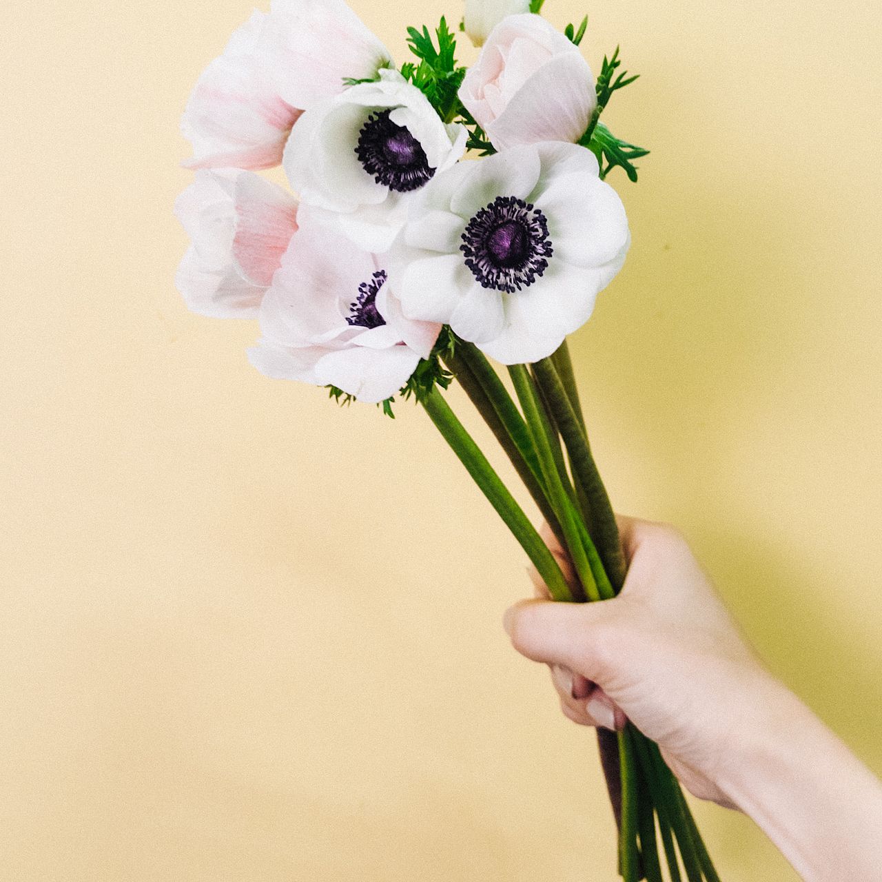 光触媒フラワー「マジェスティック・ホワイト」大輪薔薇とアネモネの極上アレンジ アネモネ「ホワイトブラックセンター」