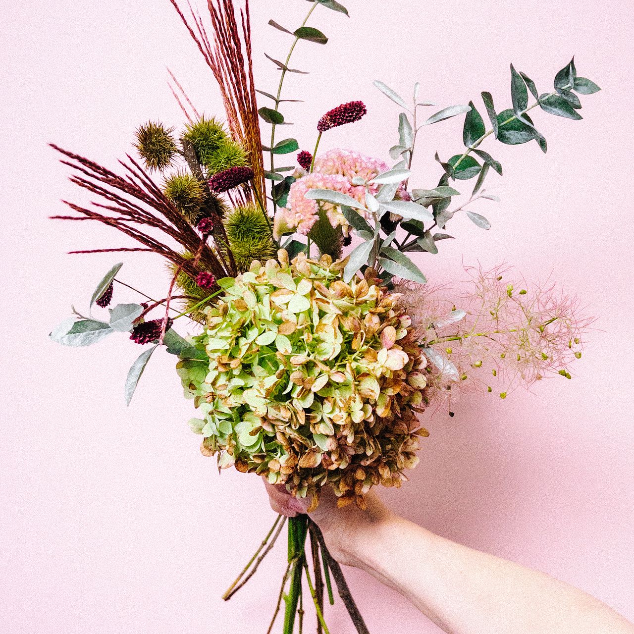 紫陽花とスモークツリー