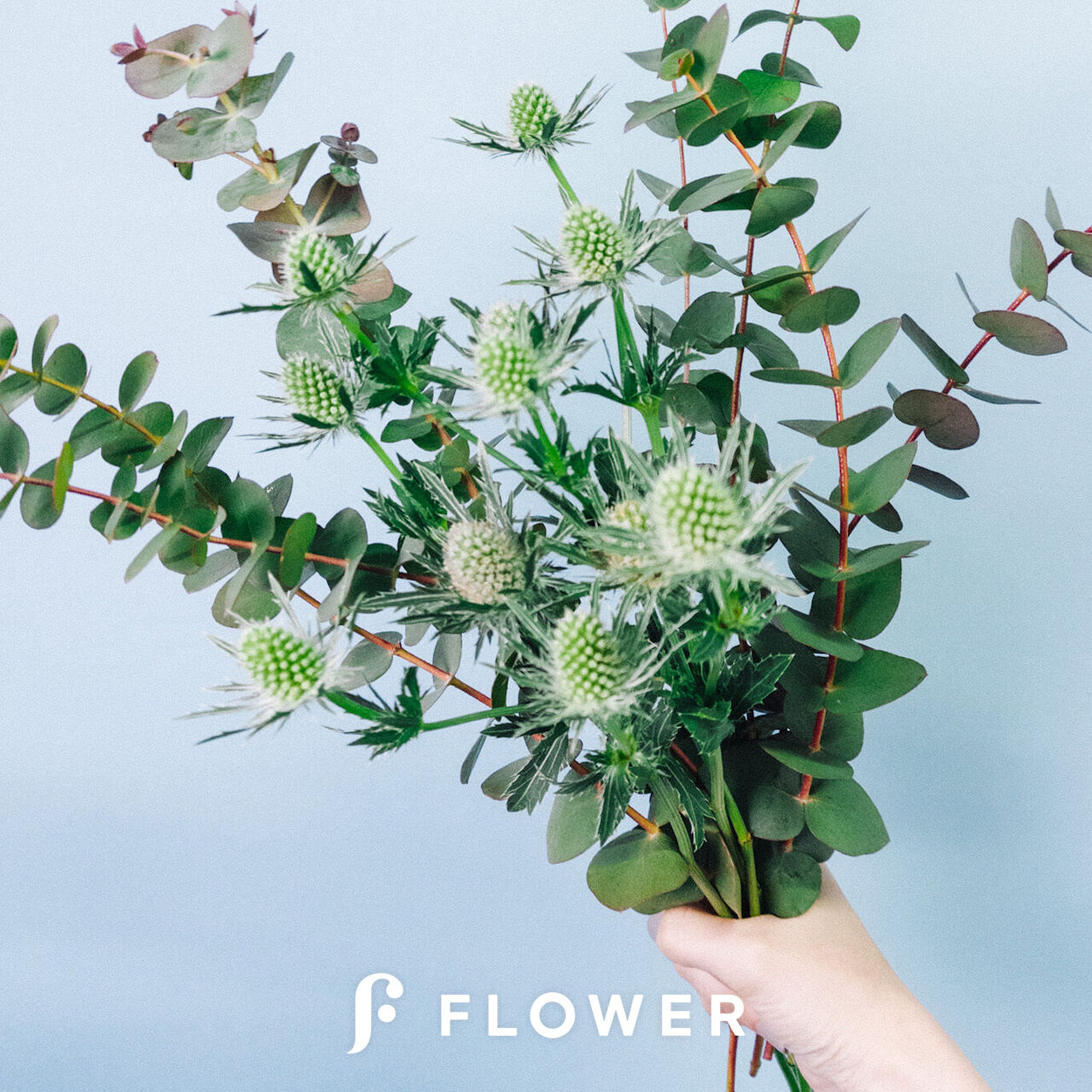 large_771d8350-9a40-443e-a280-