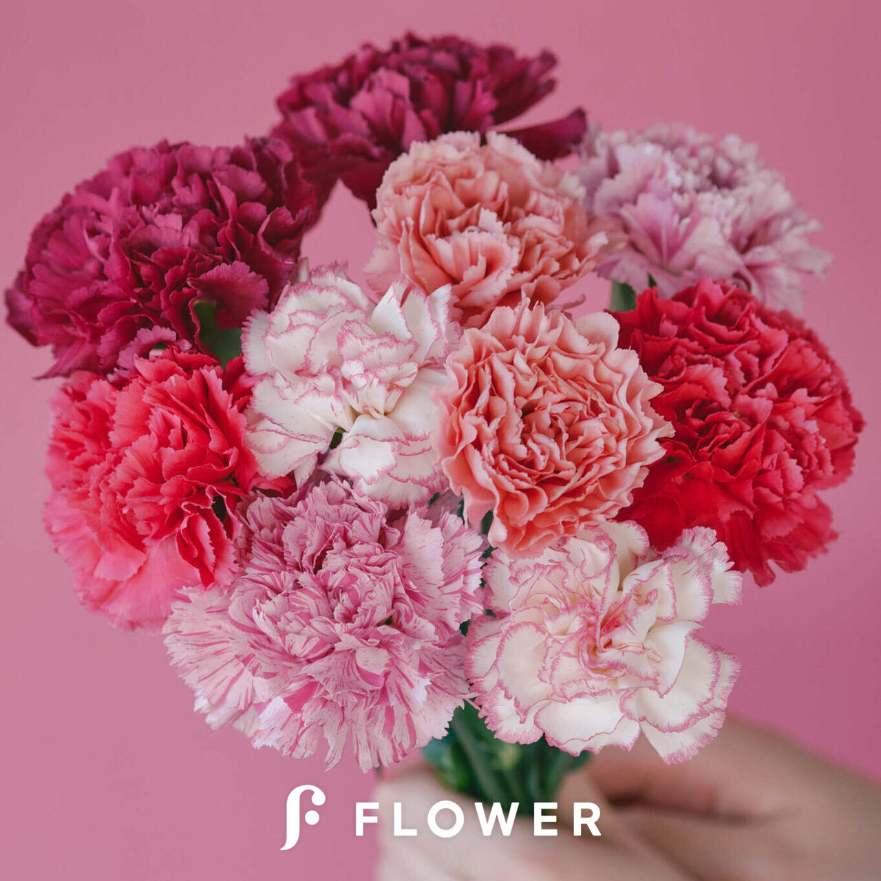 もへじーヌ　数量限定＊母の日 ピンクのカーネーションとローズのアレンジ mother_plants_carnation_002_00