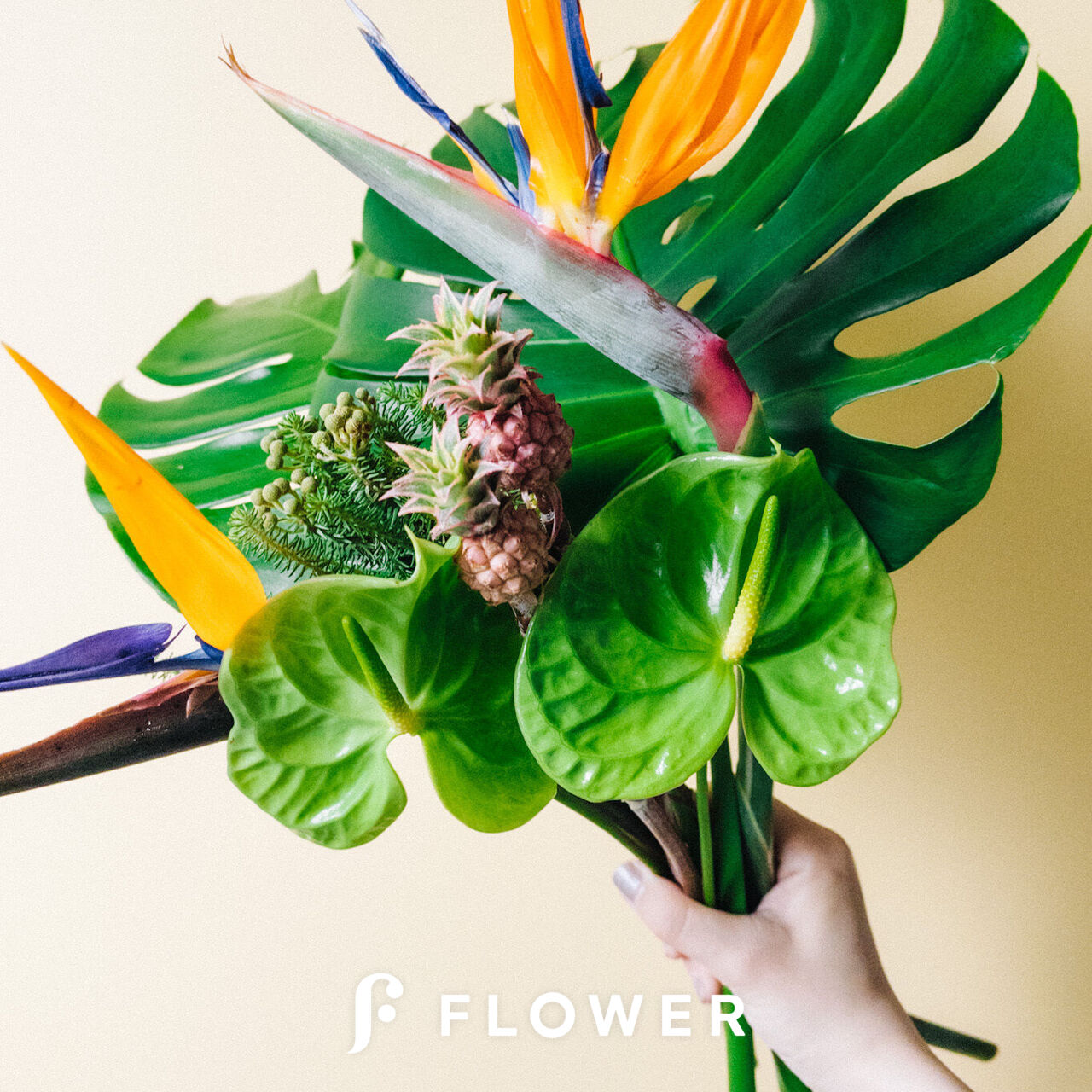 迎春アレンジ・ストレチア3点 迎春アレンジ・ストレチア3点 迎春アレンジストレチア他3点 ストレチア