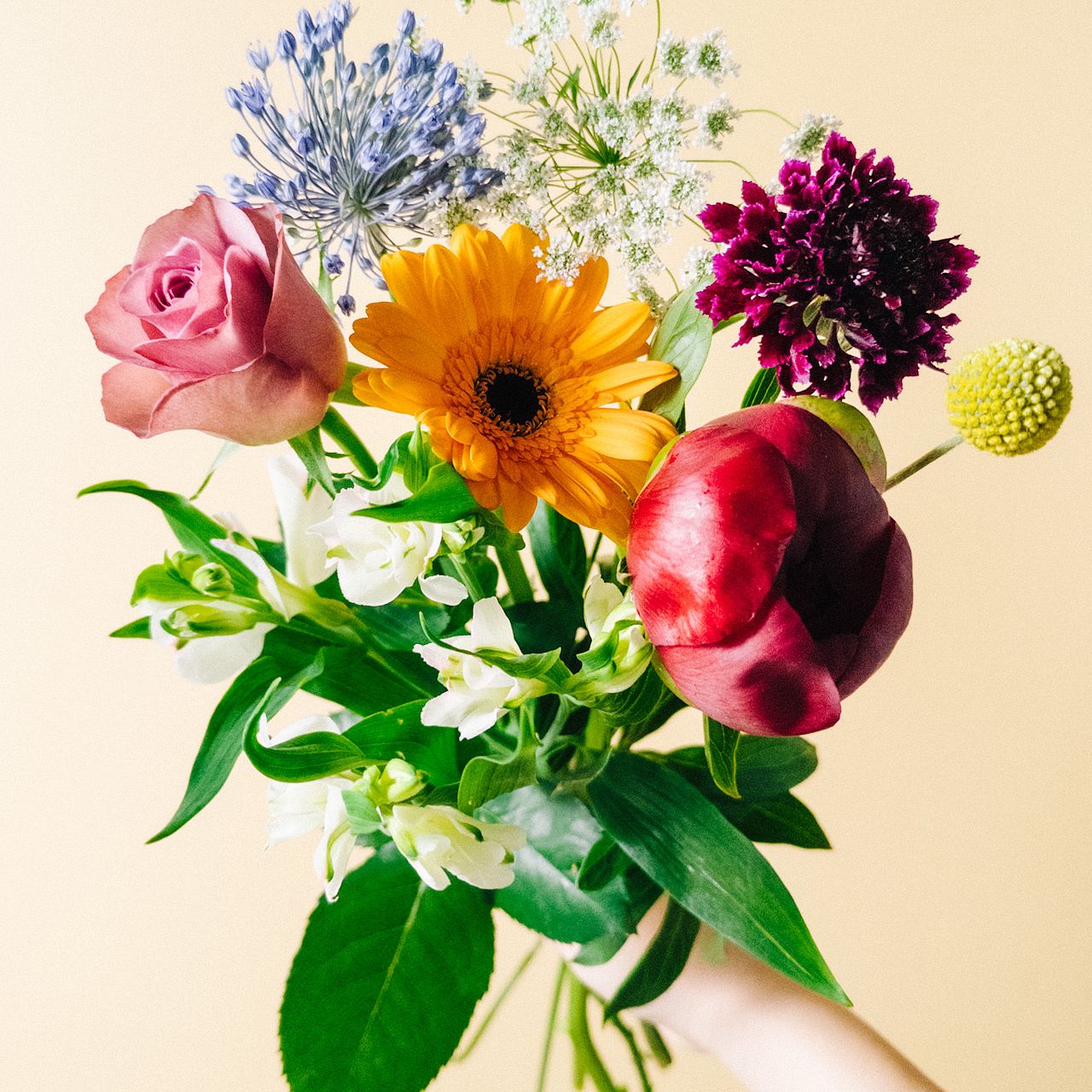 5月の誕生花