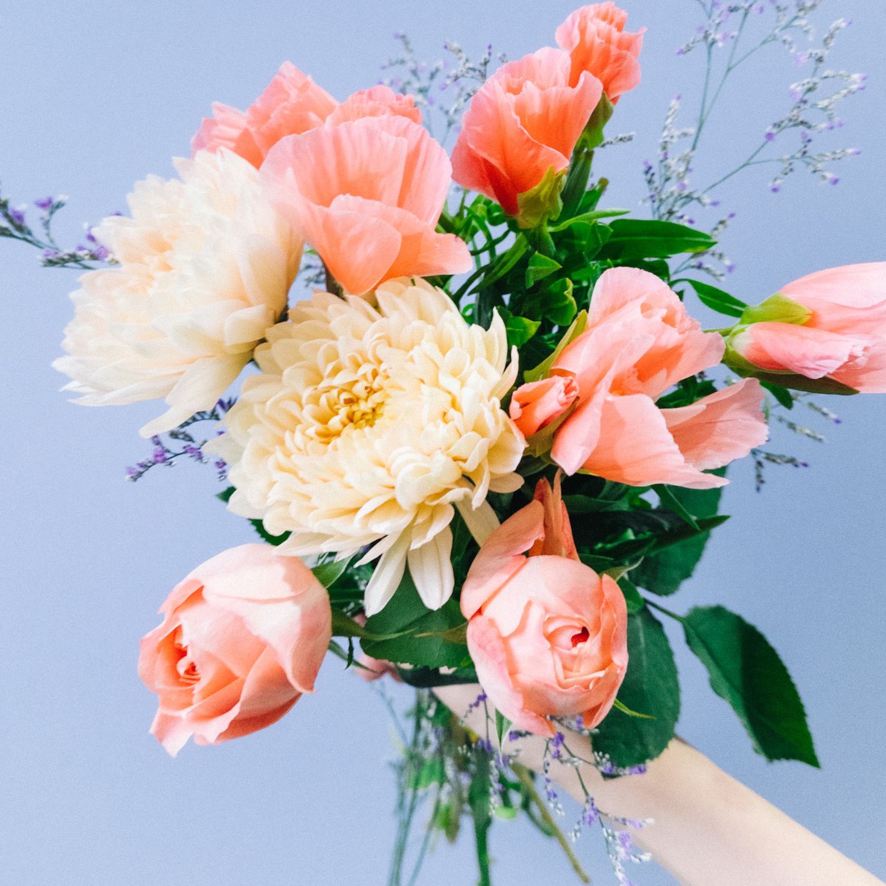 幸運のバラ「ラ・シャンス」