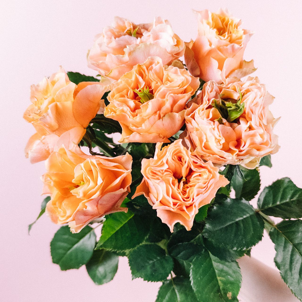 large_6271e281-2687-472e-8bb6-