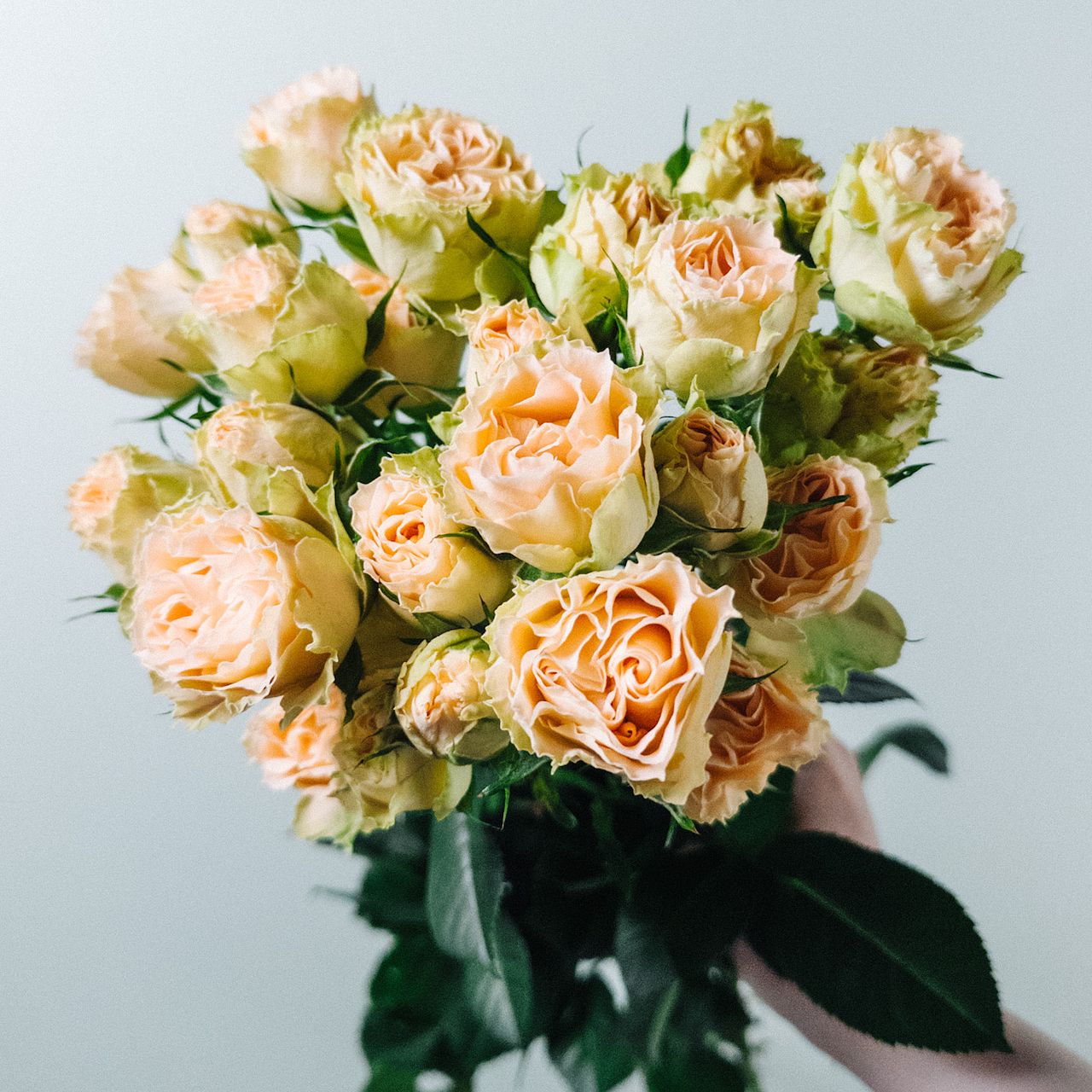 ドライフラワーꕤ︎︎縦長ガーランドBIGꕤ︎︎スプレーバラと小花アンティーク ドライフラワーꕤ︎︎縦長ガーランドBIGꕤ︎︎スプレーバラと