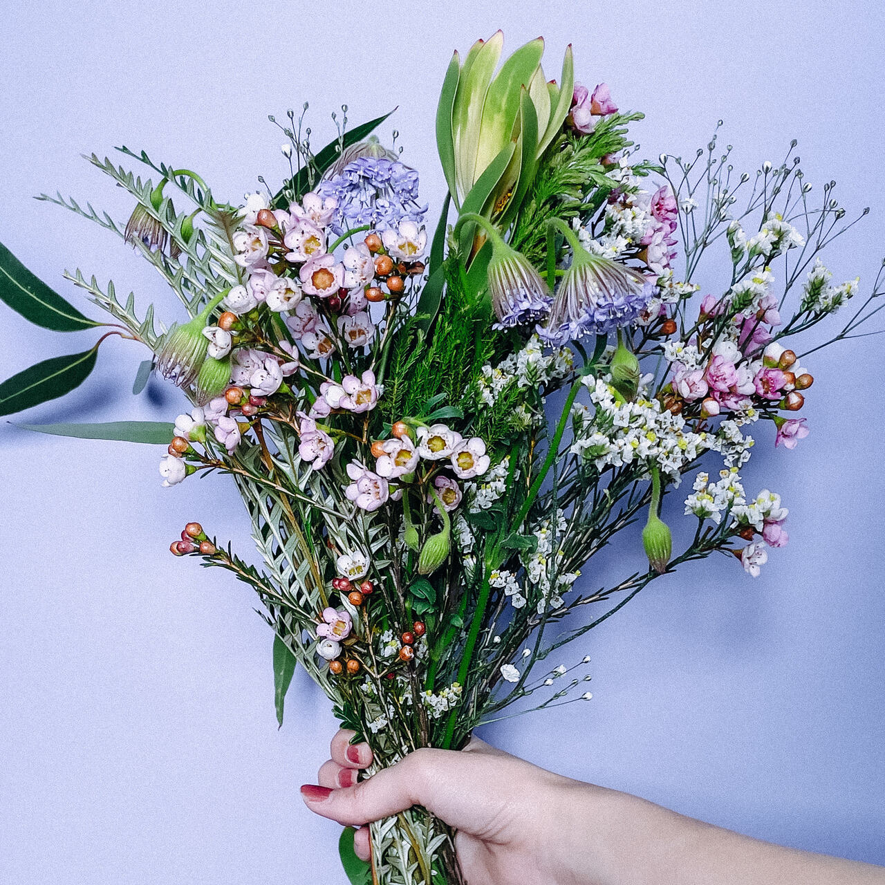 布花作品♡アンティークワックスフラワー ワックスフラワー 「ティントレッド」 | tokyo_shokubutsu_zufu