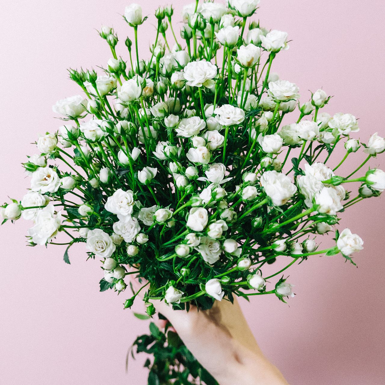 large_107bd049-5e2d-45a5-a849-