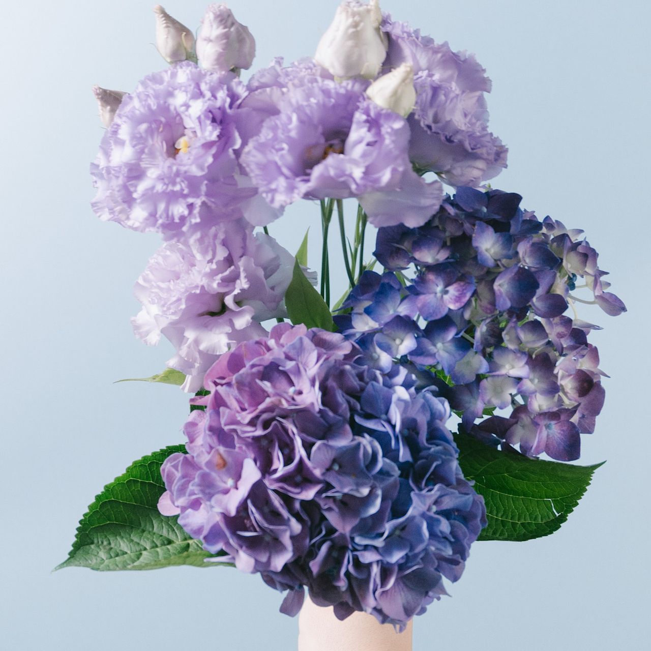 紫陽花とトルコキキョウ