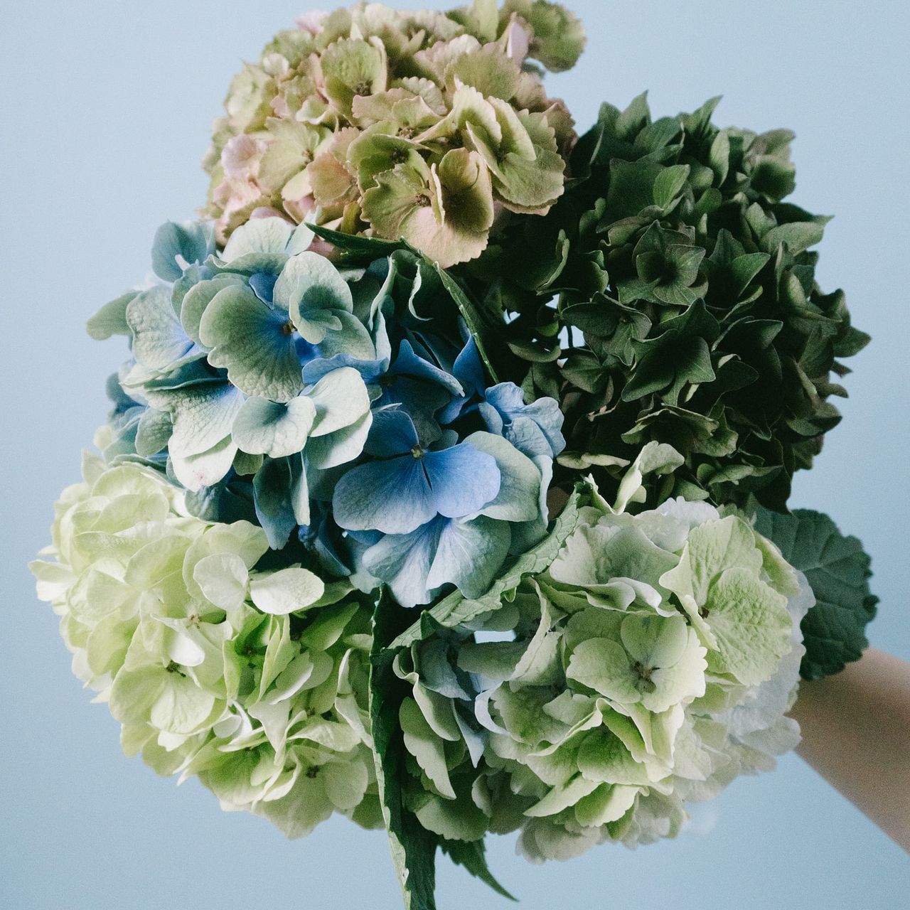 感謝SALEアンティーク紫陽花のブルーオレンジリース　矢車菊　ブルーファンタジア 感謝SALEアンティーク紫陽花のブルーオレンジリース 矢車菊