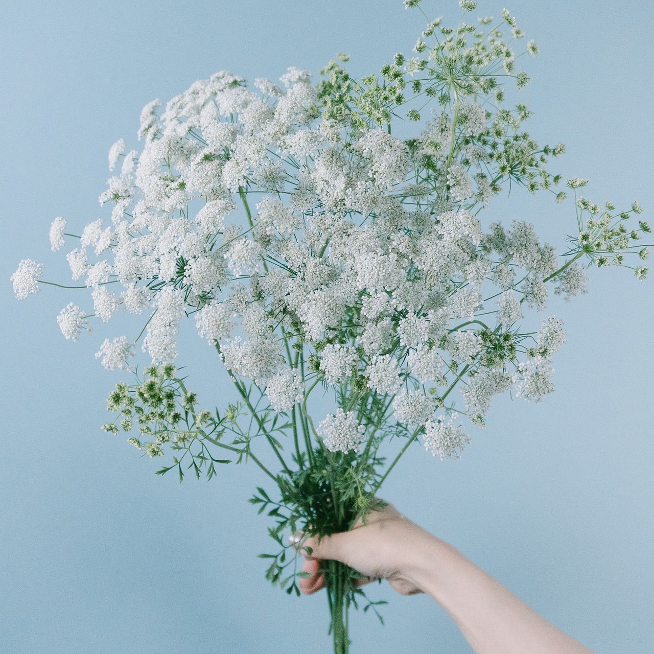 ふわふわ夏のレースフラワー