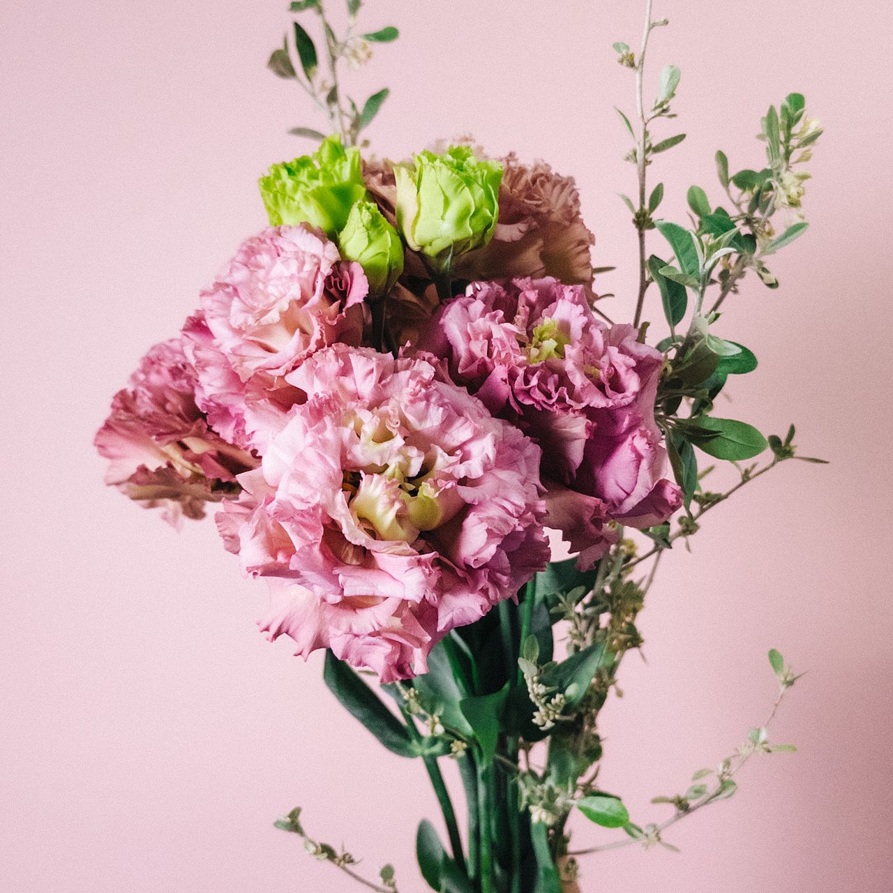 アンティークピンクのトルコキキョウ