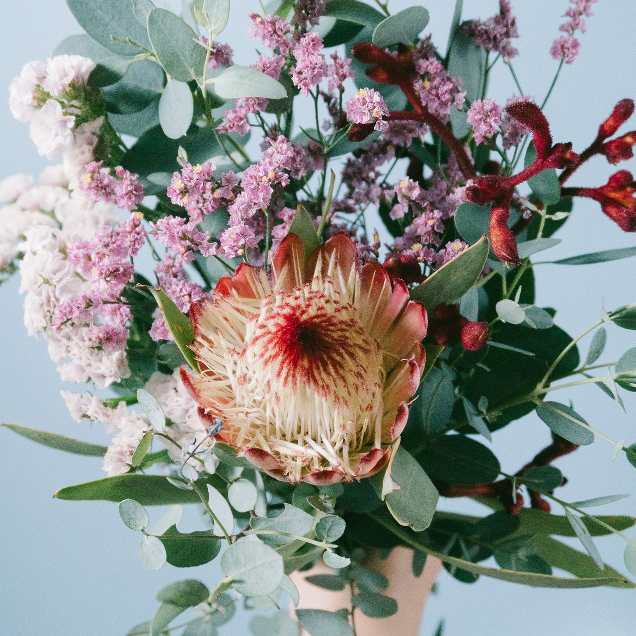 ⑨＊本日価格‼️プロテア　ロビン　5本‼️ ネイティブ スワッグ  花材　人気品種＊ ⑨＊本日価格‼️プロテア ロビン 5本‼️ ネイティブ スワッグ 花材