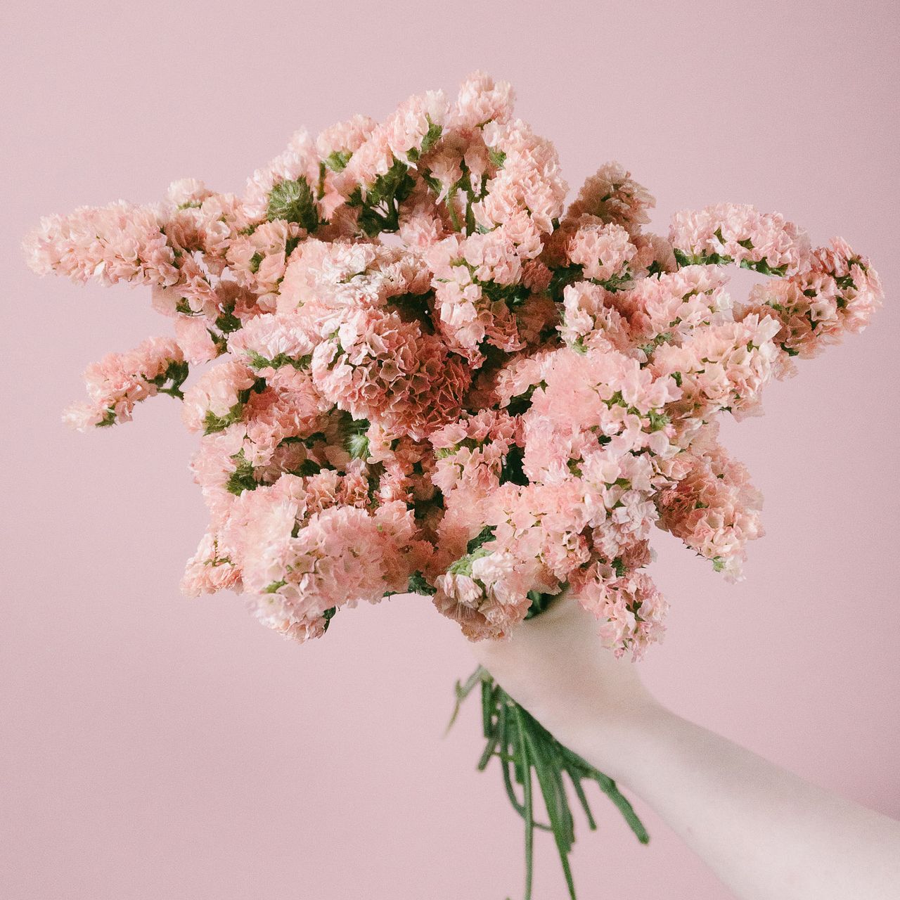 アプリコットカラーのスターチス