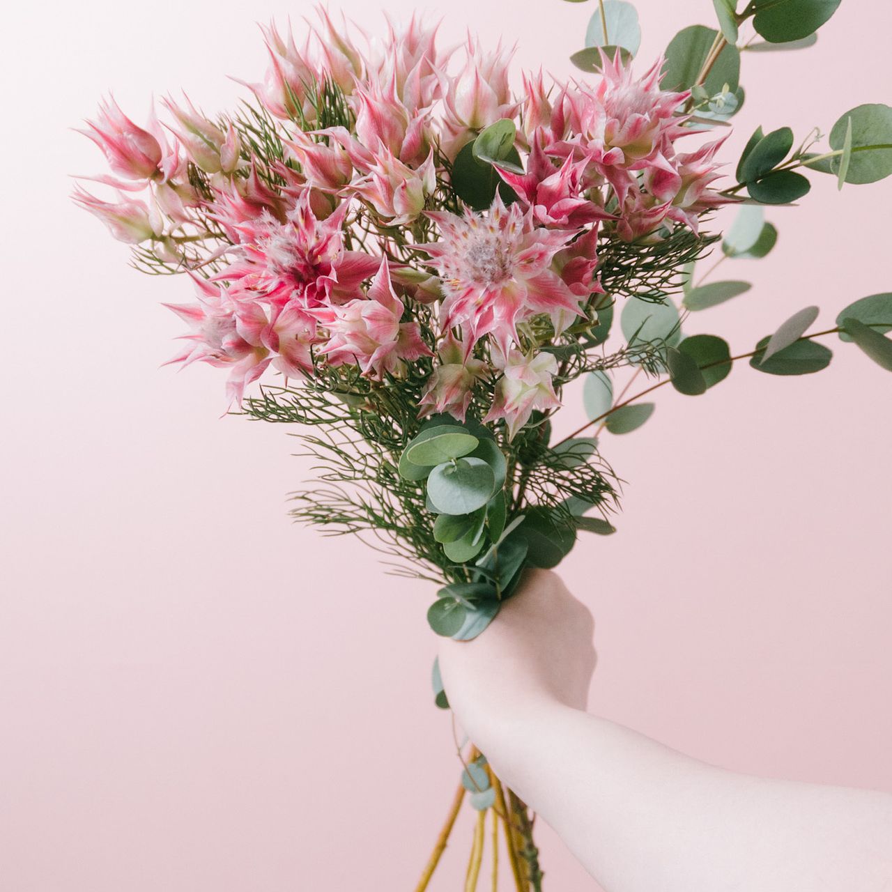 たっぷりセルリアのスワッグ